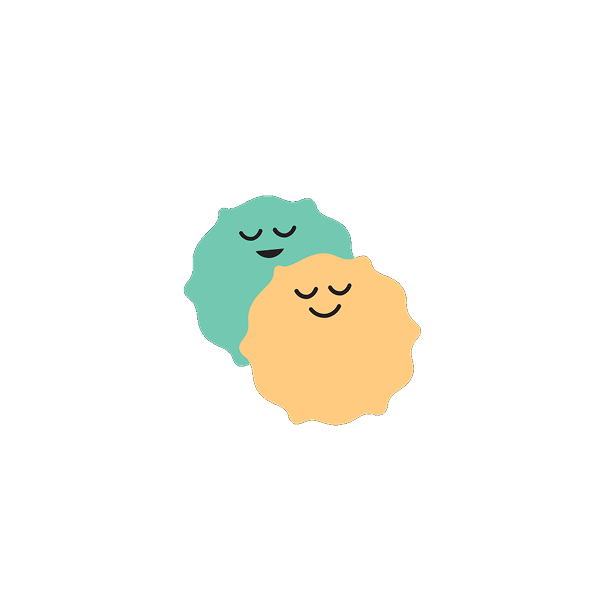 Kelifta grain characters